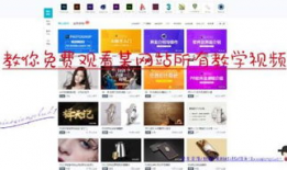 免费看视频的网站,畅享影视盛宴的秘密通道